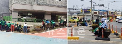 안중읍행정복지센터여름 맞이 여름꽃 식재