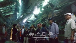 남양주시, 별내면 어르신 문화체험 행복나들이 행사 가져
