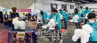 서울연희 애완동물학과, 제4회 도그위그 아트 미용대회 동상 수상