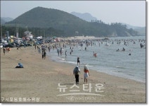 고창군, 노송숲과 어울어진 구시포·동호 해수욕장 오는 7일 개장