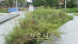 의정부시소재 신세계백화점, 대기업의 책임과 의무는 온데간데 없고 돈벌이에 급급