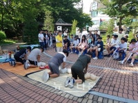 평택시 매봉마을, 안전하고 행복한 마을 만들기 운동