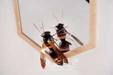 상지대학교 고양가구박람회 생활조형디자인학과 참여