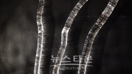 박종해 此岸을 품다전