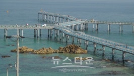 FIRA 울진 해상낚시공원 7월 재개장 후 관광객 줄이어