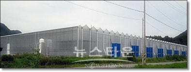 여수시,  지열 이용해 농작물 재배 첨단유리온실 완공