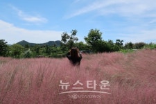 꼼수가 판치는 제주도렌트카 시장, 돌하루팡 가을여행 최대 50% 절약에 나서