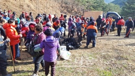 인제군 숲가꾸기 산림자원 육성 캠페인 실시