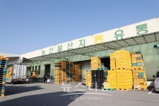 공재광 시장, 평택과수농협 농산물산지유통센터 방문!