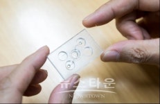 성남산업진흥재단·다인바이오(주), 파트너십 결실 3D 바이오 융합칩 개발