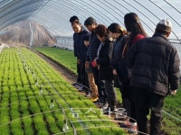 경기도의회 염동식 부의장, 양주 부추농장 방문