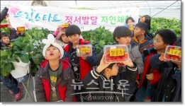 정읍시 드림스타트, 지역 농산물 딸기 체험 프로그램 운영