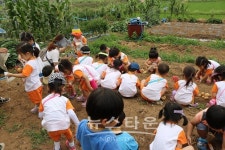 웃다리문화촌 주말농장 선착순 분양 분양