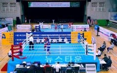 2018 전국종별신인 복싱 선수권 대회 및 국가대표 최종 선발전 개최