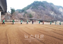 원주시 신림면 새마을회 새마을공원 코스모스 식재