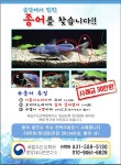 금강에 서식하는 종어(宗魚) 어미를 찾아주세요!