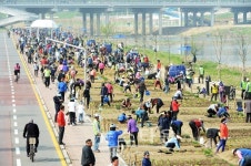 2평의 행복, 중랑천 힐링도시농장 오픈