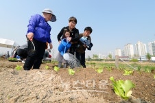 2평의 행복, 중랑천 힐링도시농장 오픈