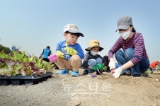 2평의 행복, 중랑천 힐링도시농장 오픈