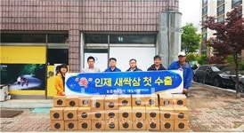 찐새싹삼 | 인제 새싹삼 중국'첫 수출'