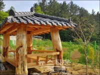 일제시대 수탈 노송으로 만든 쉼터 정자 동로정