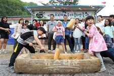 인제 소치마을에서 수리취떡 축제
