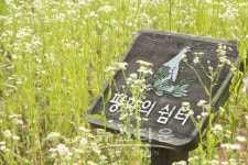 의왕시 모락산에 조성된 평화의 쉼터