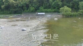 성남시, 탄천 미금보 자리 여울 조성 완료