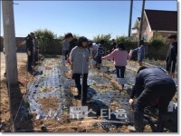 신안군, 학교4-H회 과제활동으로 농심 함양