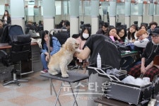서울직업전문학교, 2019학년도 미용전공 애견미용과정 신설