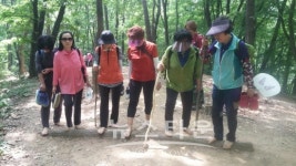 성남시, 숲에서 즐기는 건강 나들이 프로그램 마련