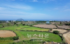 제주 한달살기, 비양도가 보이는 한림이 최적지