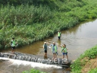 포천시, 생태하천 복원을 위해 왕숙천과 추동천에 다슬기 방류