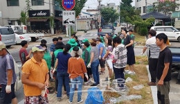 원주시 문막읍 새마을회, 기증받은 겹채송화로 생동하는 문막시장길