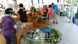 의왕시 농산물 안심하고 구입하세요!