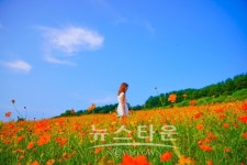 제주렌트카 제주페이 늦여름-초가을 늦캉스 제주관광 명소 소개