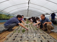 평택시, 예비 귀농·귀촌인 하반기 교육 추진