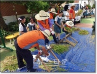 정읍시, 서울 6개 초등학교에서 벼 수확체험 실시