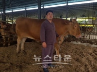 대한민국에서 가장 큰 슈퍼 한우, 제주에서 탄생