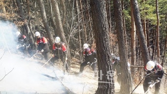 인제국유림관리소, 산불전문예방진화대 모집으로 일자리 창출