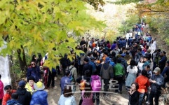 이번 주말 지리산 회남재 숲길 걸어요