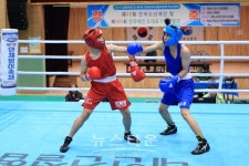 강원도 교육감배 복싱대회