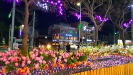 원주시 단구동, 시네마 11번가 불빛 조명시설 운영