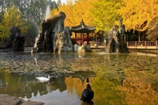 남이섬 대한민국 대표 관광지 100선 4회 연속