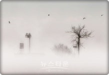 미국 중서부 슈퍼 한파 남극보다 저온 영하 41도