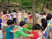 의왕시 바라산 유아숲체험원 운영 시작, 참여 신청하세요