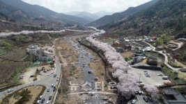 하동 화개장터 벚꽃 달빛 레이스 참가자 접수