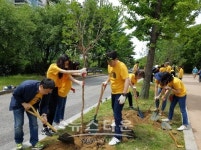 서울시 서부공원녹지사업소, 여의도공원에 먼지 먹는 숲 조성