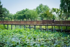 평택시 바람새마을, 경기도 생태관광 거점 조성사업 공모 선정