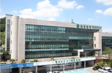 함평군 중3 학생 전원, 해외 역사문화 체험교육 나선다